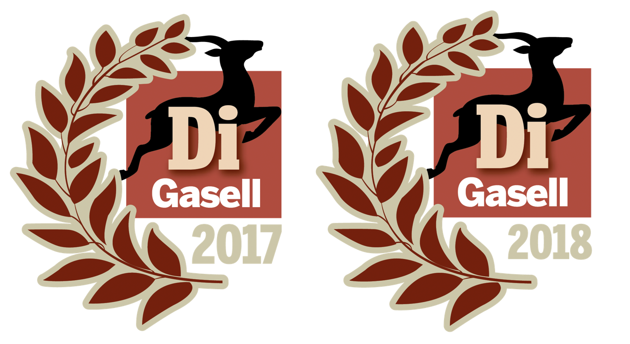 DI Gaselle 2017